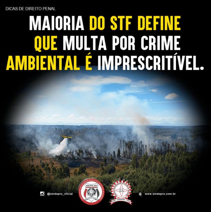 🌍✨ Decisão importante do STF! ✨🌍